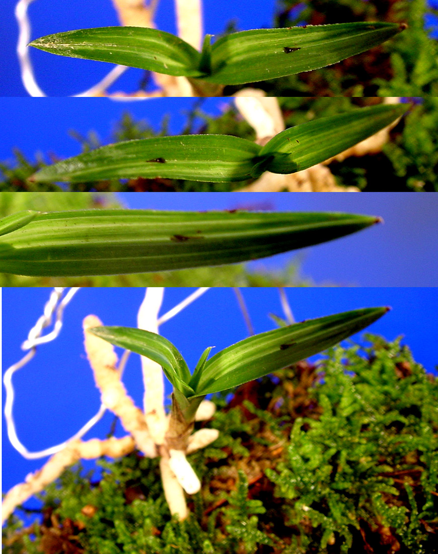 ������ ū������ �� �� �ֽ��ϴ�.