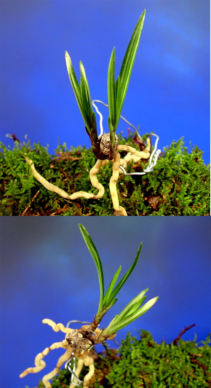 ������ ū������ �� �� �ֽ��ϴ�.