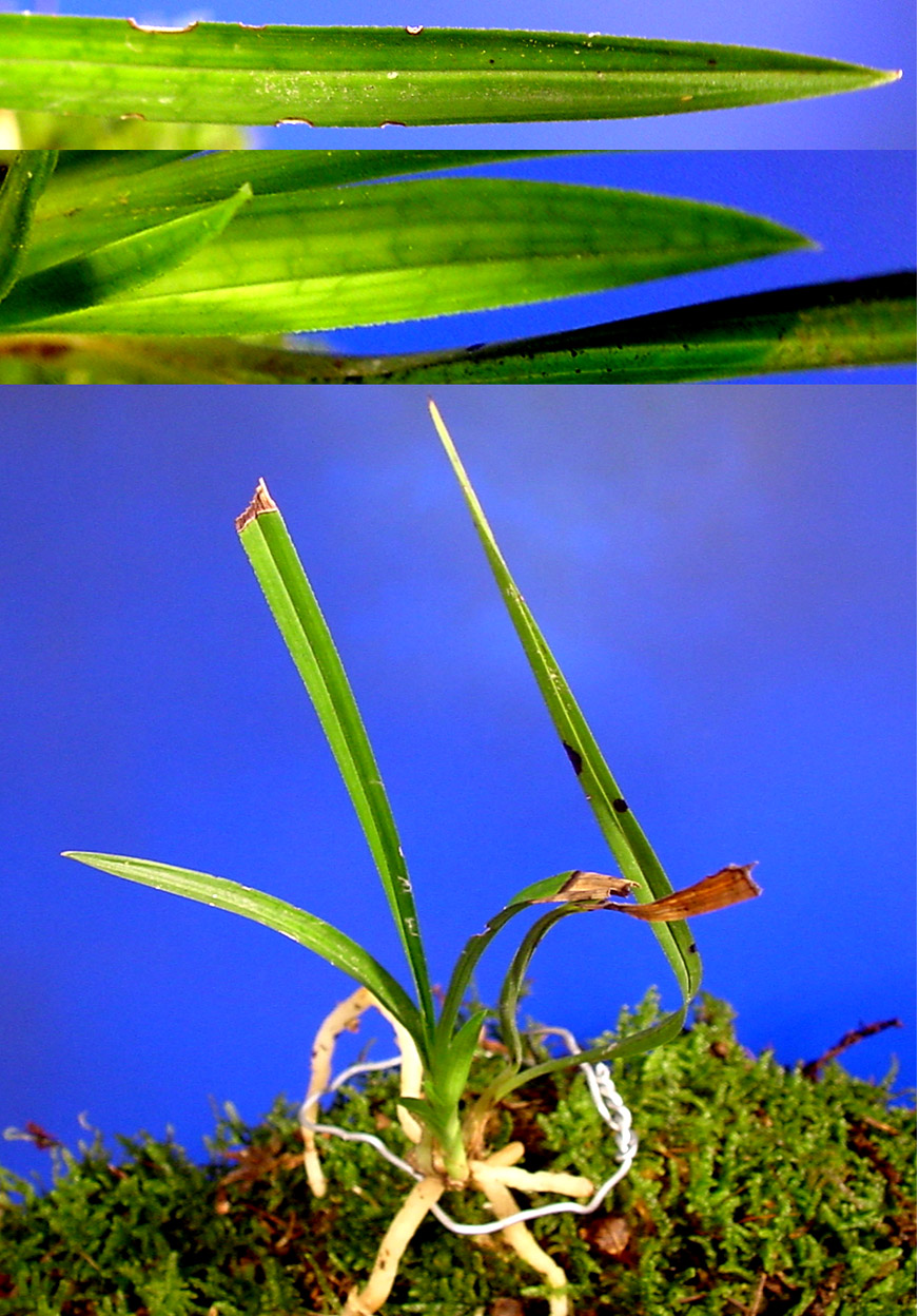 ������ ū������ �� �� �ֽ��ϴ�.