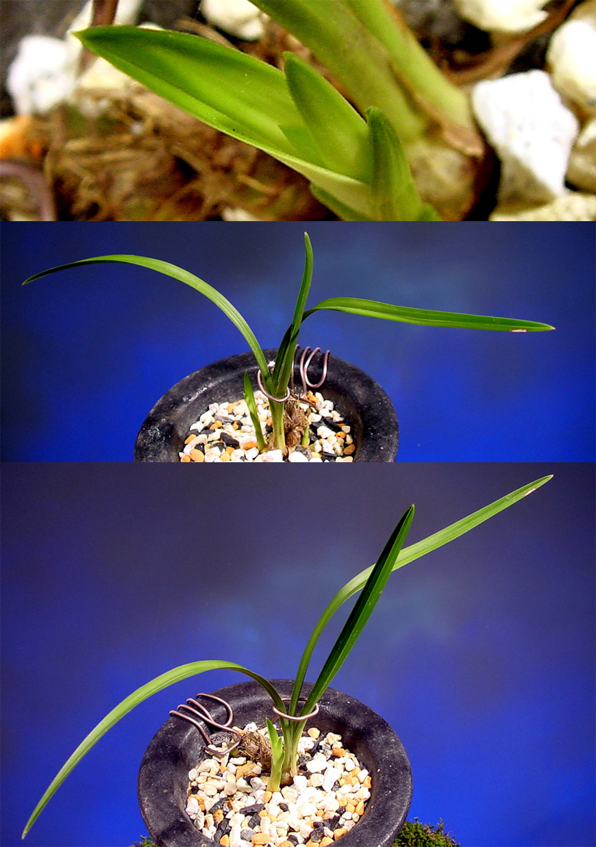 ������ ū������ �� �� �ֽ��ϴ�.