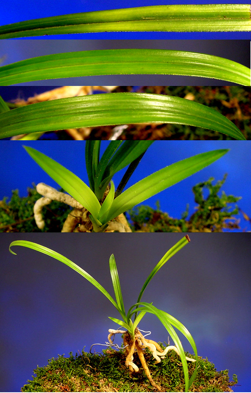 ������ ū������ �� �� �ֽ��ϴ�.