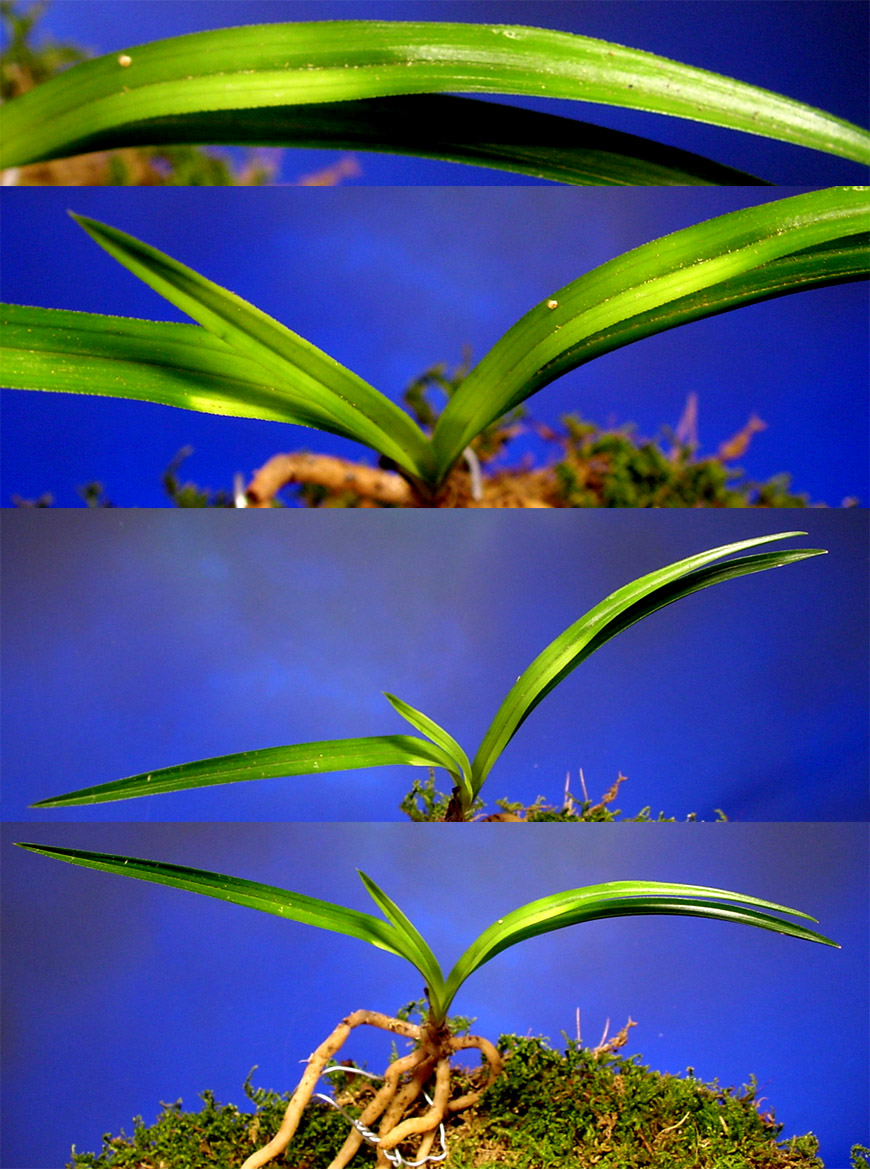 ������ ū������ �� �� �ֽ��ϴ�.