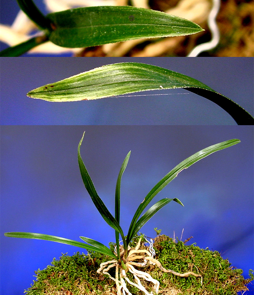 ������ ū������ �� �� �ֽ��ϴ�.