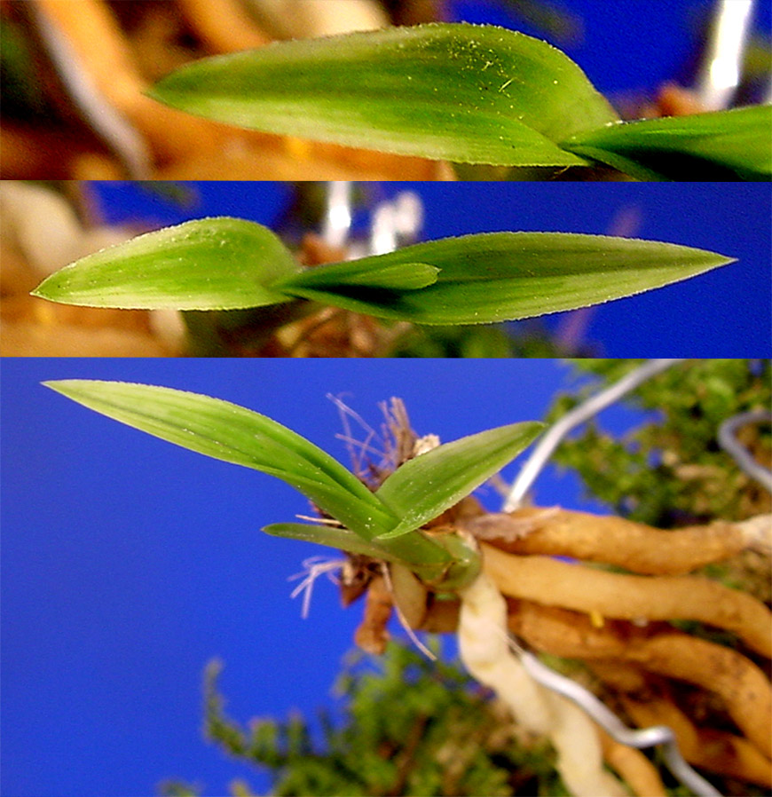 ������ ū������ �� �� �ֽ��ϴ�.