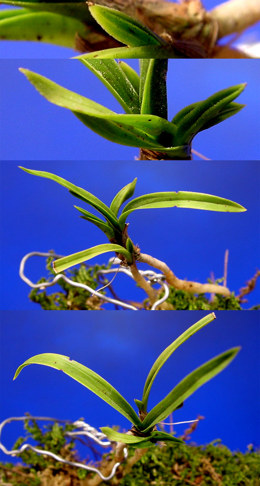 ������ ū������ �� �� �ֽ��ϴ�.