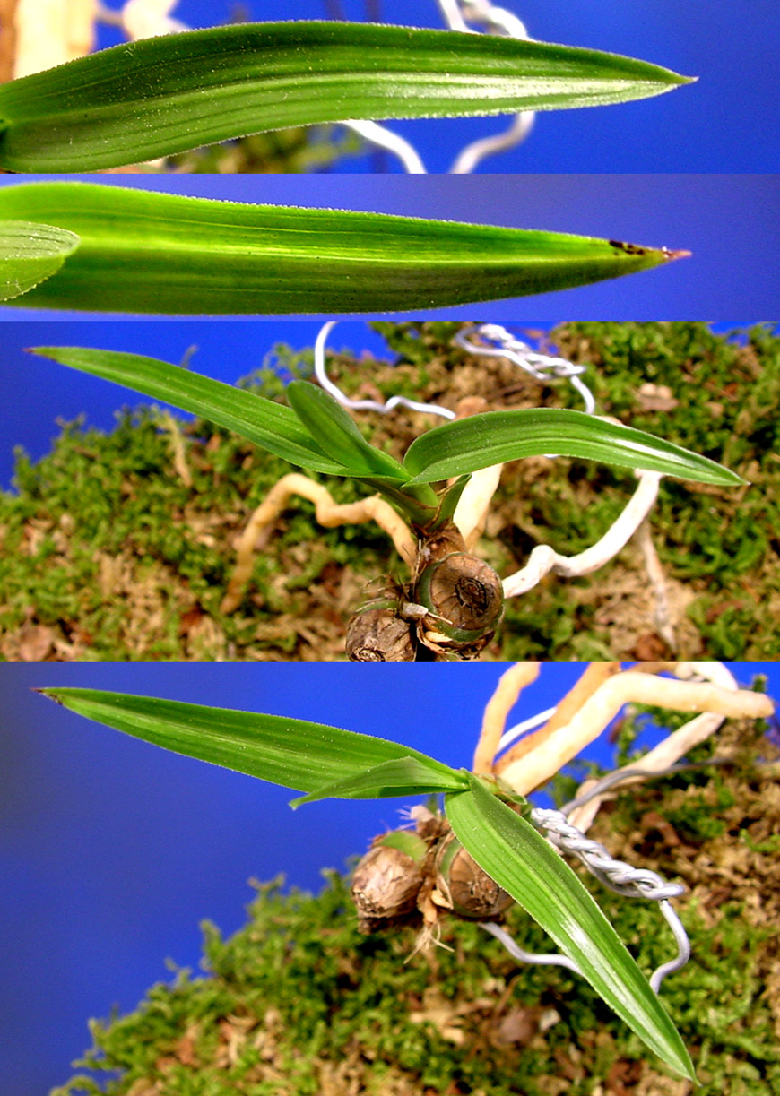 ������ ū������ �� �� �ֽ��ϴ�.