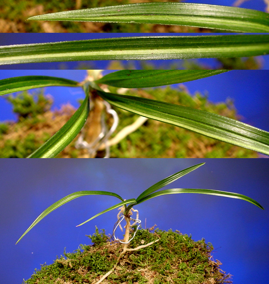 ������ ū������ �� �� �ֽ��ϴ�.