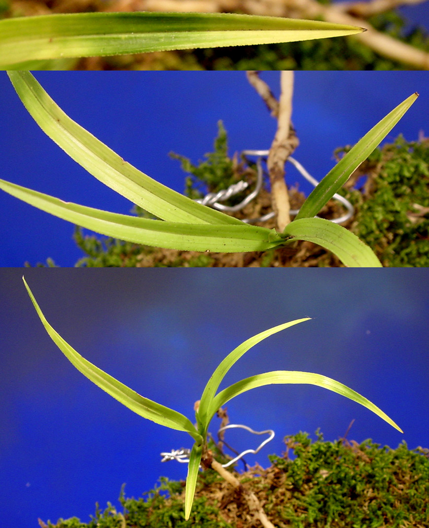 ������ ū������ �� �� �ֽ��ϴ�.