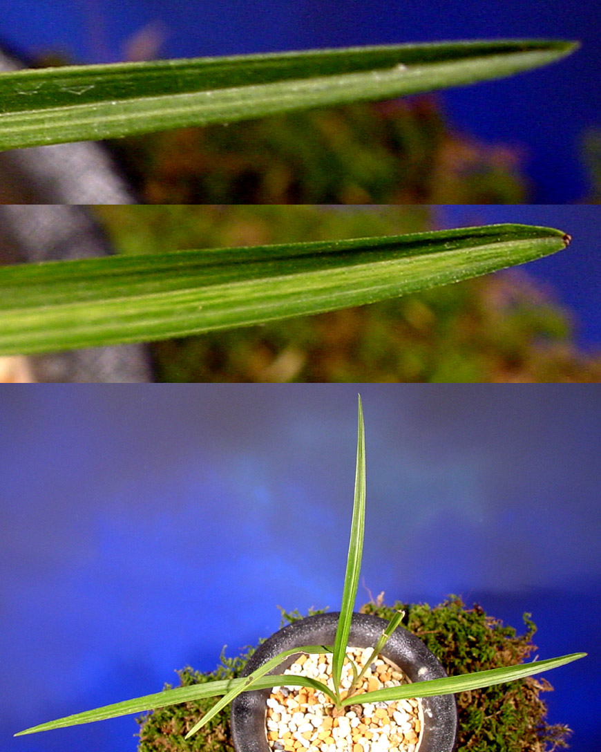 ������ ū������ �� �� �ֽ��ϴ�.