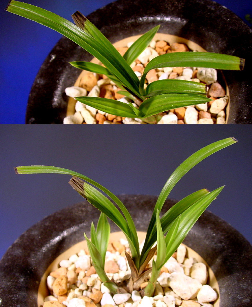 ������ ū������ �� �� �ֽ��ϴ�.