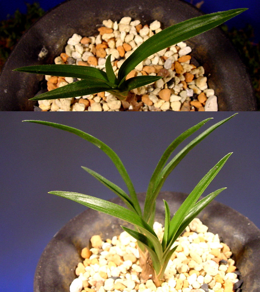 ������ ū������ �� �� �ֽ��ϴ�.