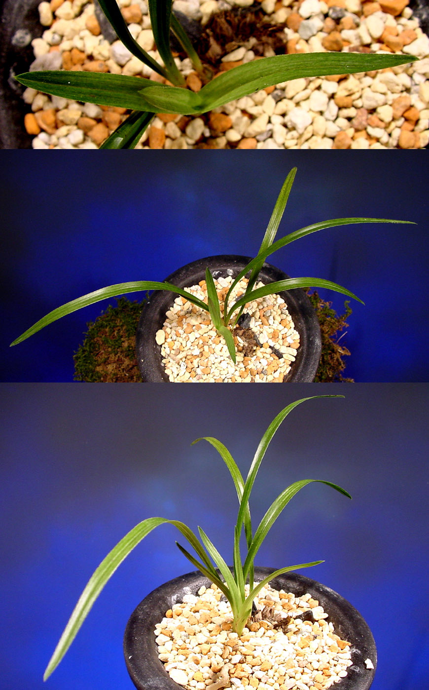 ������ ū������ �� �� �ֽ��ϴ�.