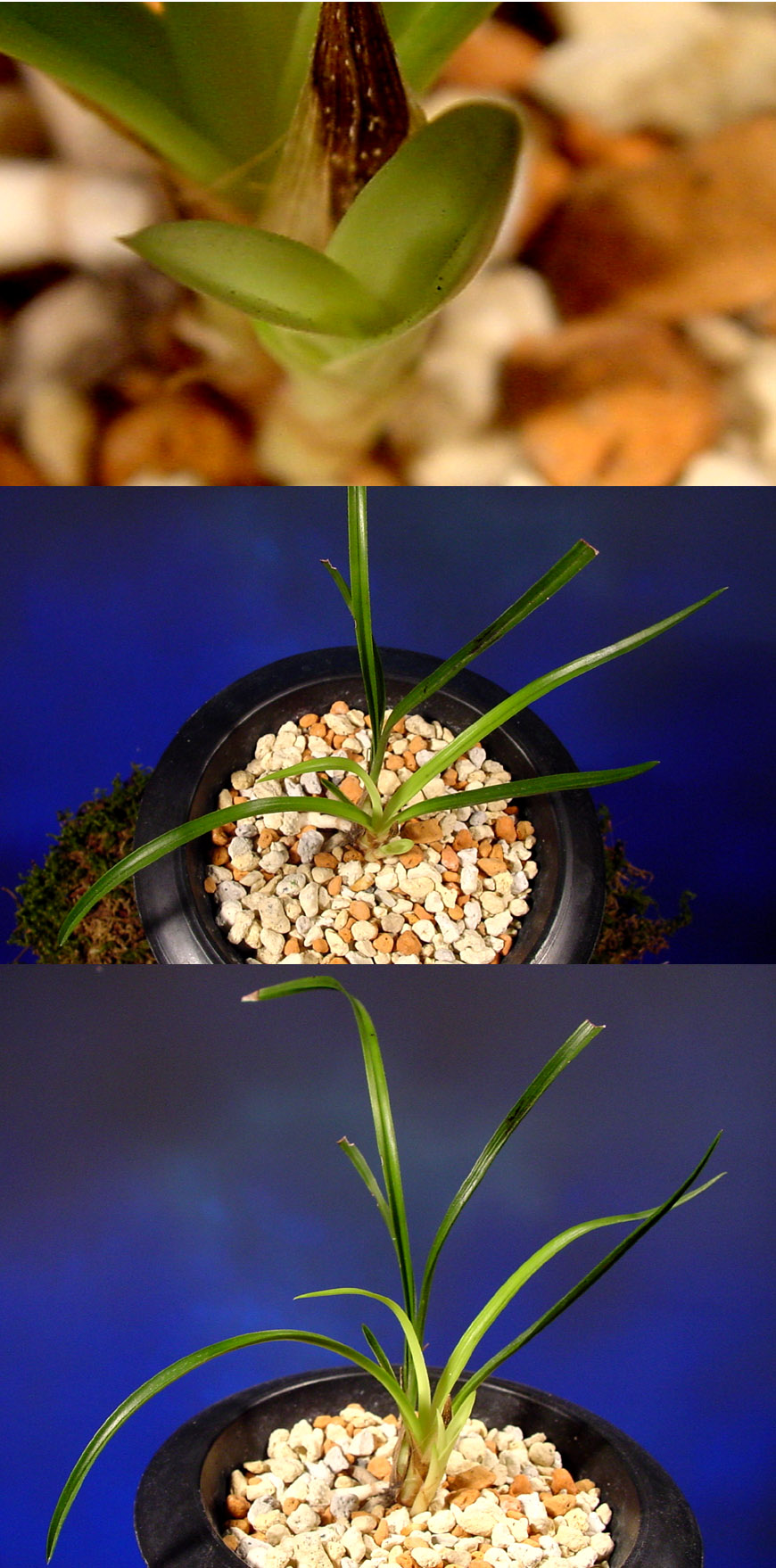 ������ ū������ �� �� �ֽ��ϴ�.