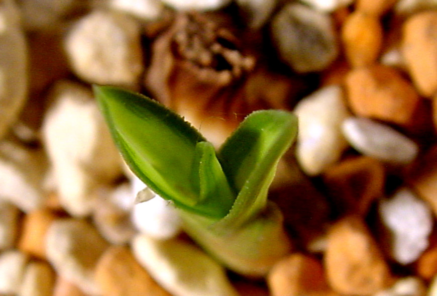 ������ ū������ �� �� �ֽ��ϴ�.