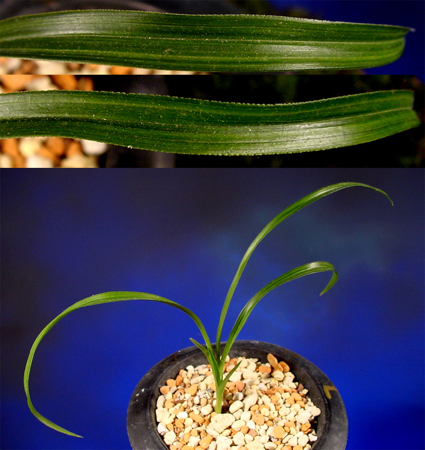 ������ ū������ �� �� �ֽ��ϴ�.