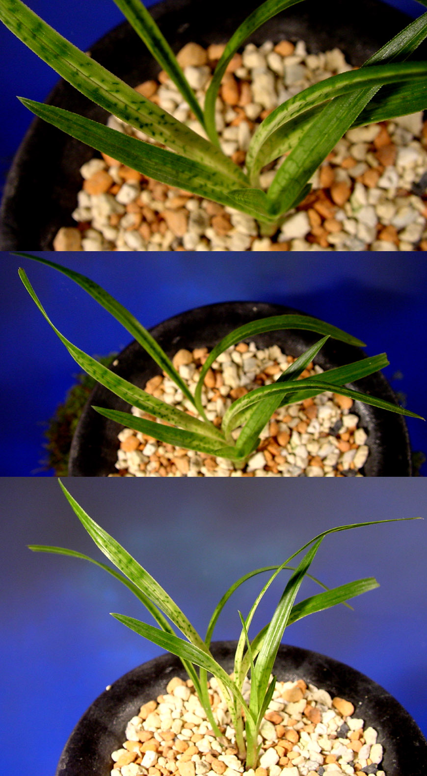 ������ ū������ �� �� �ֽ��ϴ�.