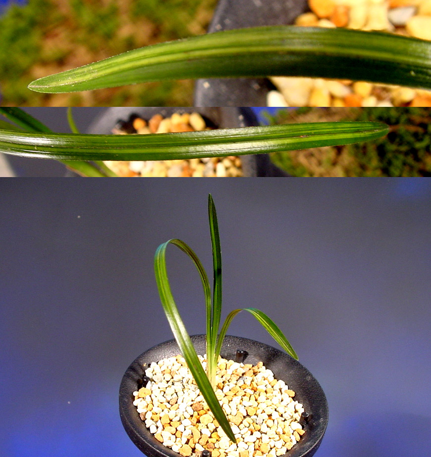 ������ ū������ �� �� �ֽ��ϴ�.