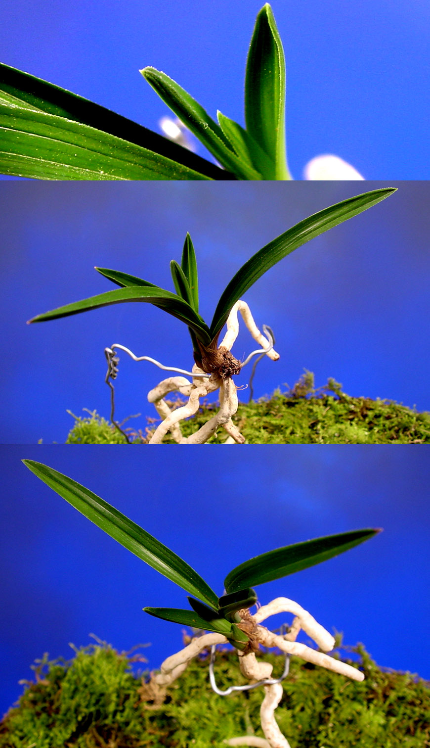 ������ ū������ �� �� �ֽ��ϴ�.