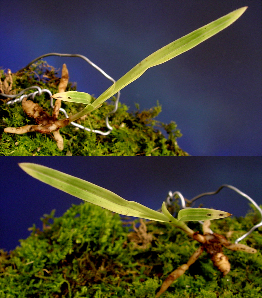 ������ ū������ �� �� �ֽ��ϴ�.