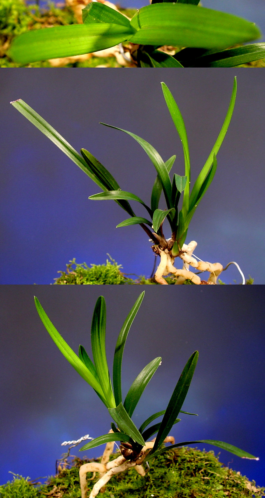 ������ ū������ �� �� �ֽ��ϴ�.