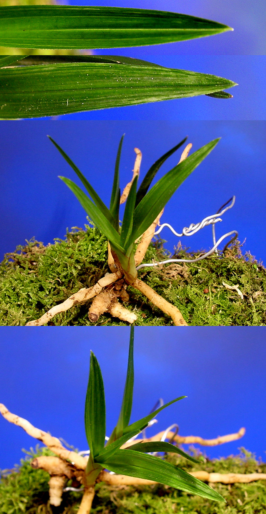 ������ ū������ �� �� �ֽ��ϴ�.