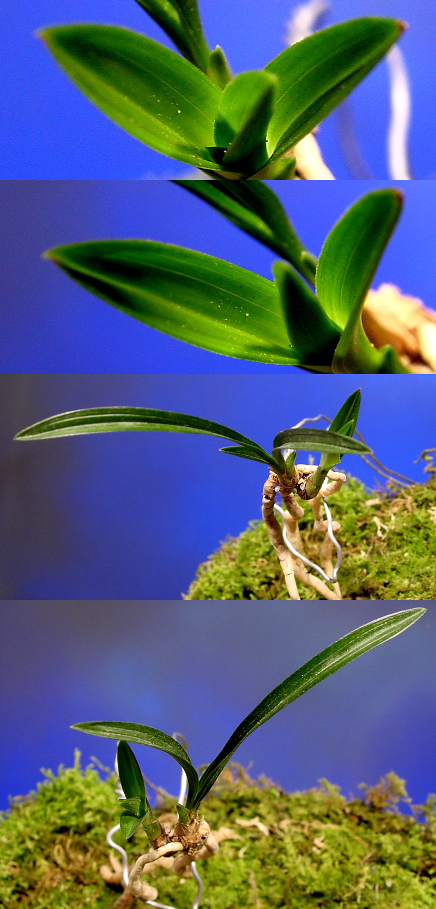 ������ ū������ �� �� �ֽ��ϴ�.