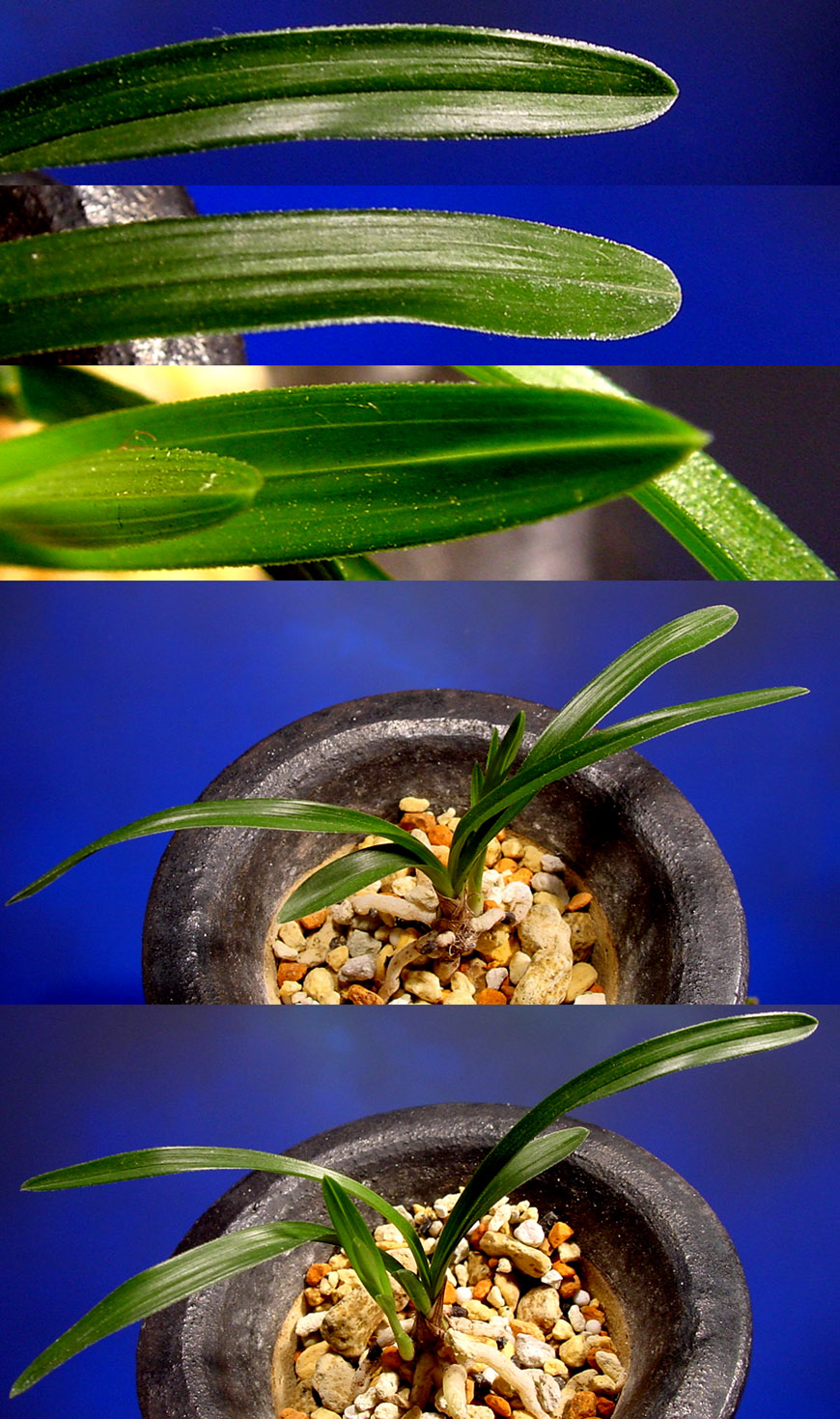 ������ ū������ �� �� �ֽ��ϴ�.