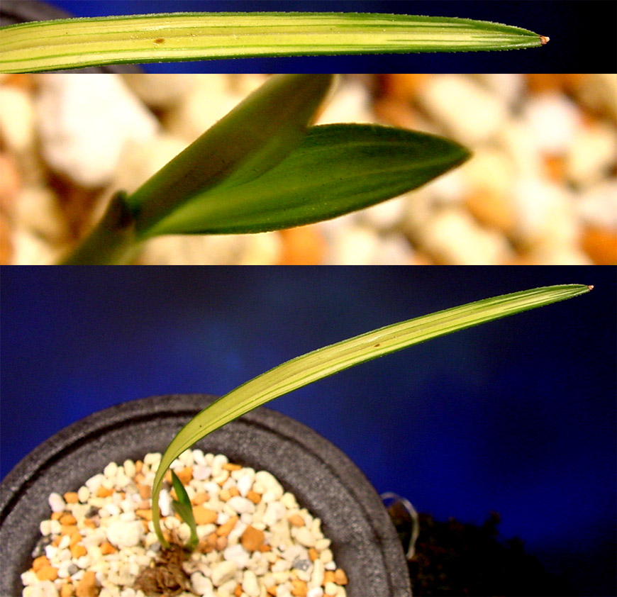 ������ ū������ �� �� �ֽ��ϴ�.