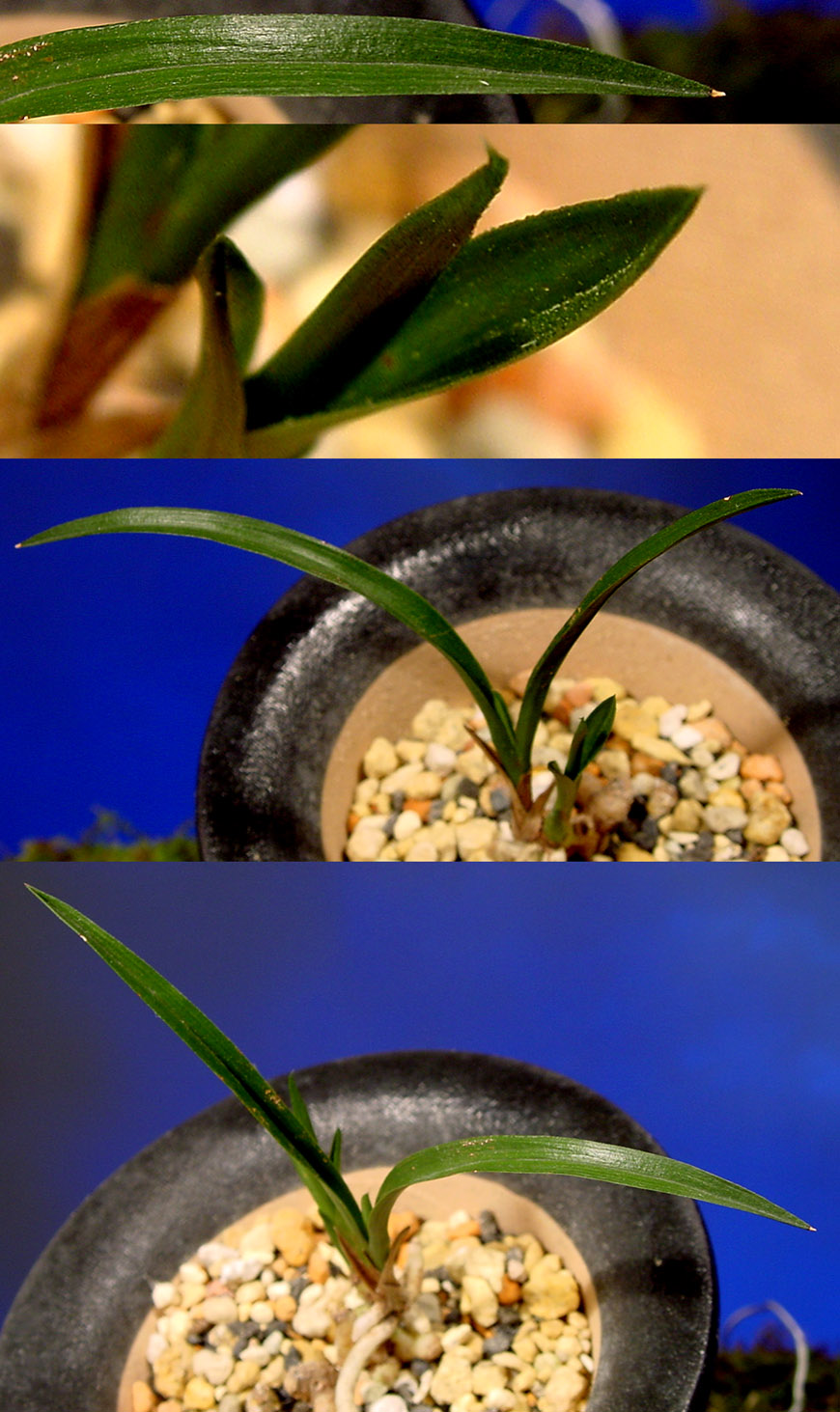 ������ ū������ �� �� �ֽ��ϴ�.