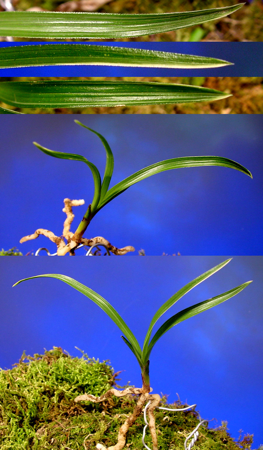 ������ ū������ �� �� �ֽ��ϴ�.