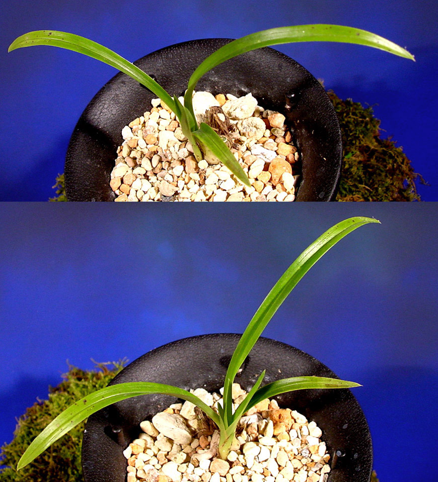 ������ ū������ �� �� �ֽ��ϴ�.