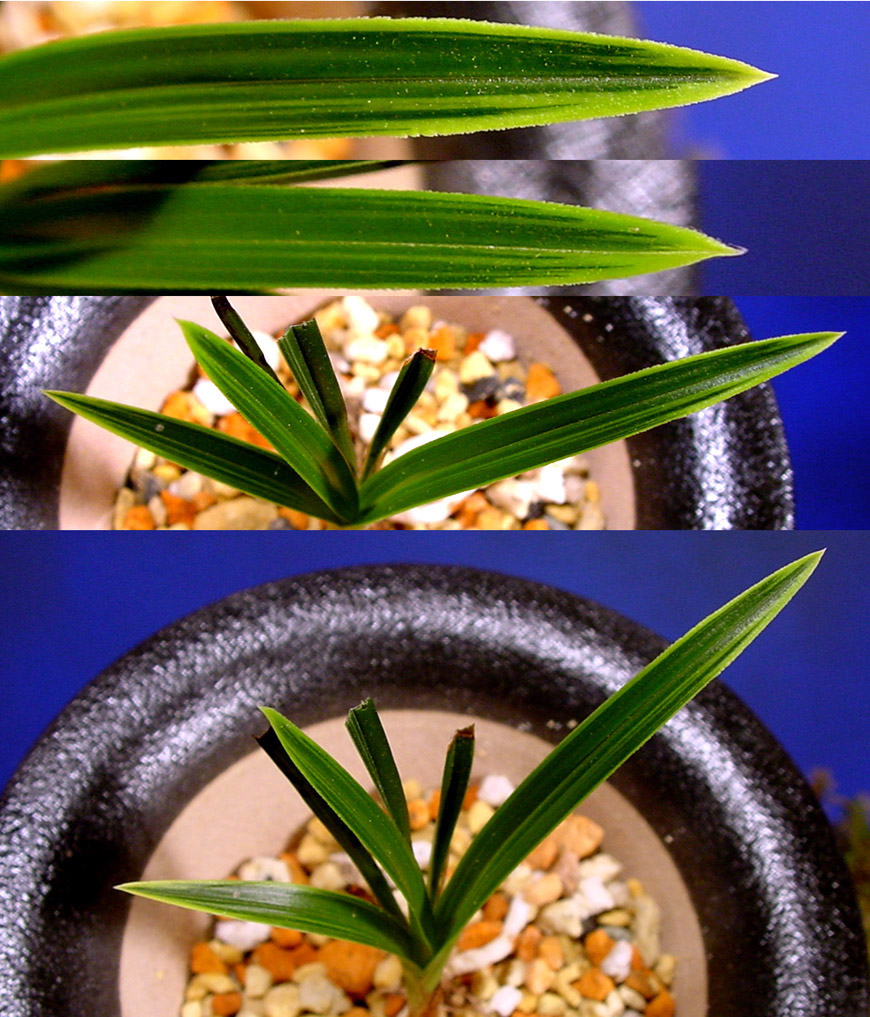 ������ ū������ �� �� �ֽ��ϴ�.