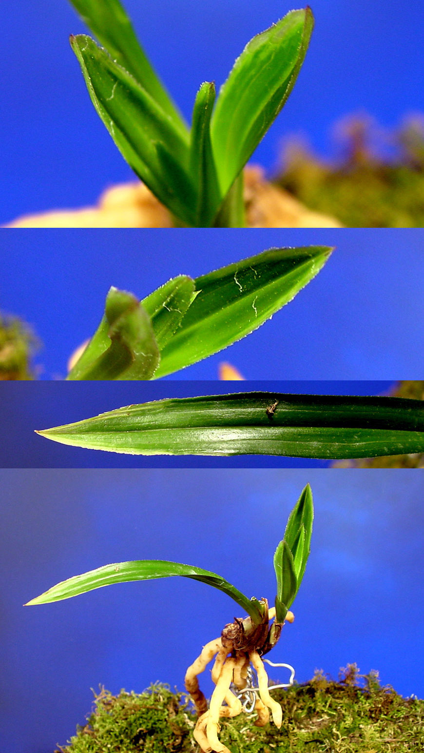 ������ ū������ �� �� �ֽ��ϴ�.