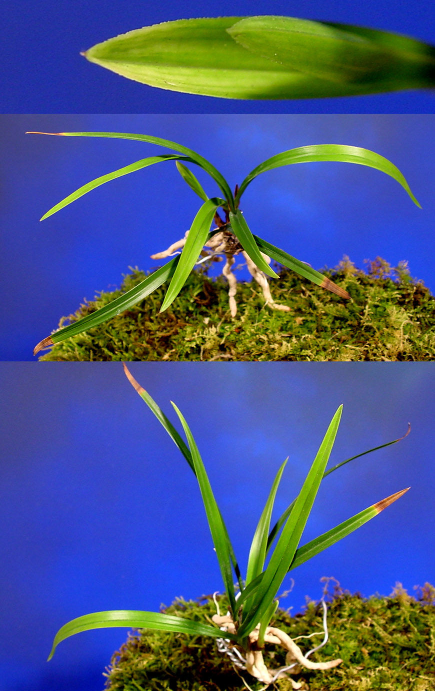 ������ ū������ �� �� �ֽ��ϴ�.