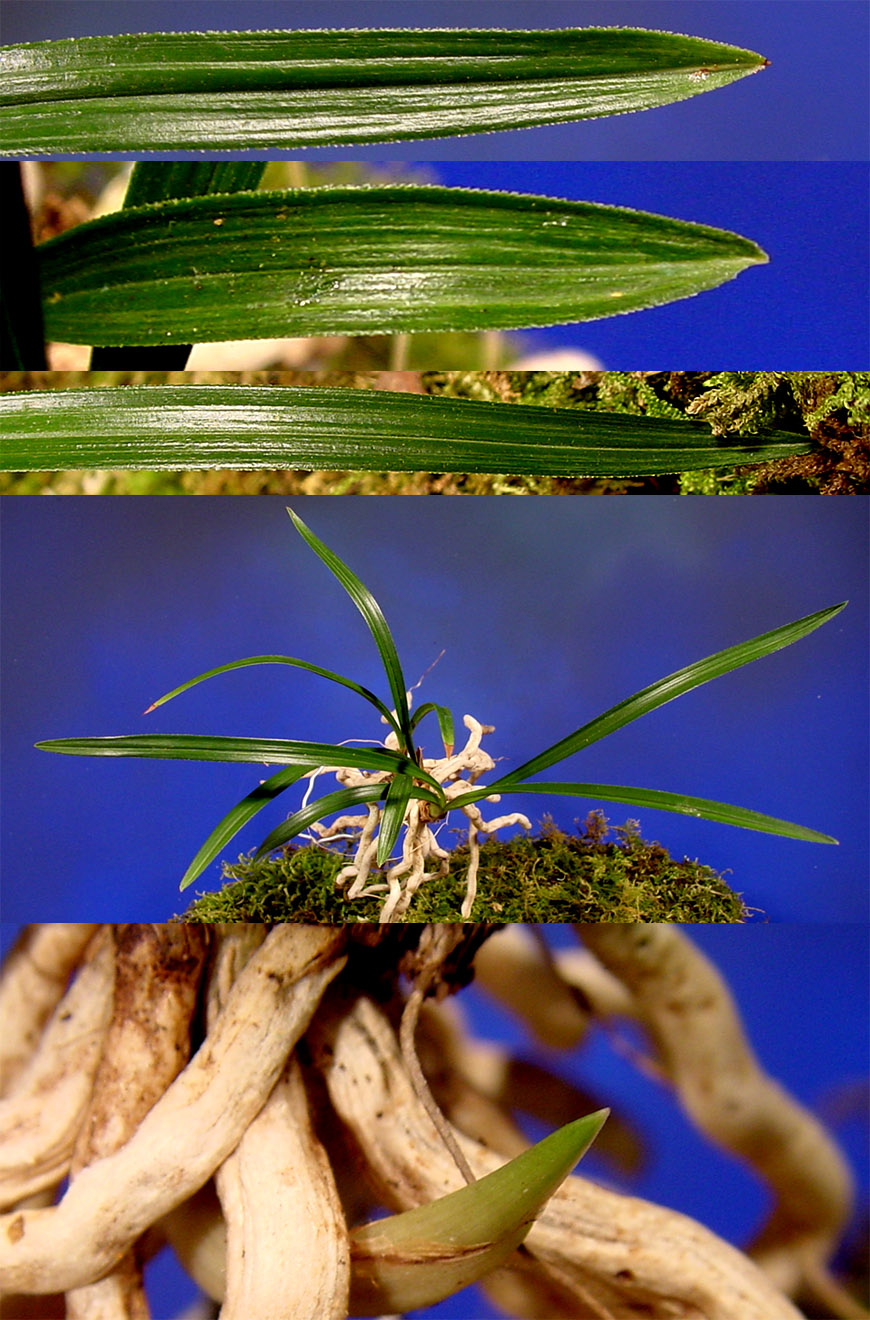 ������ ū������ �� �� �ֽ��ϴ�.