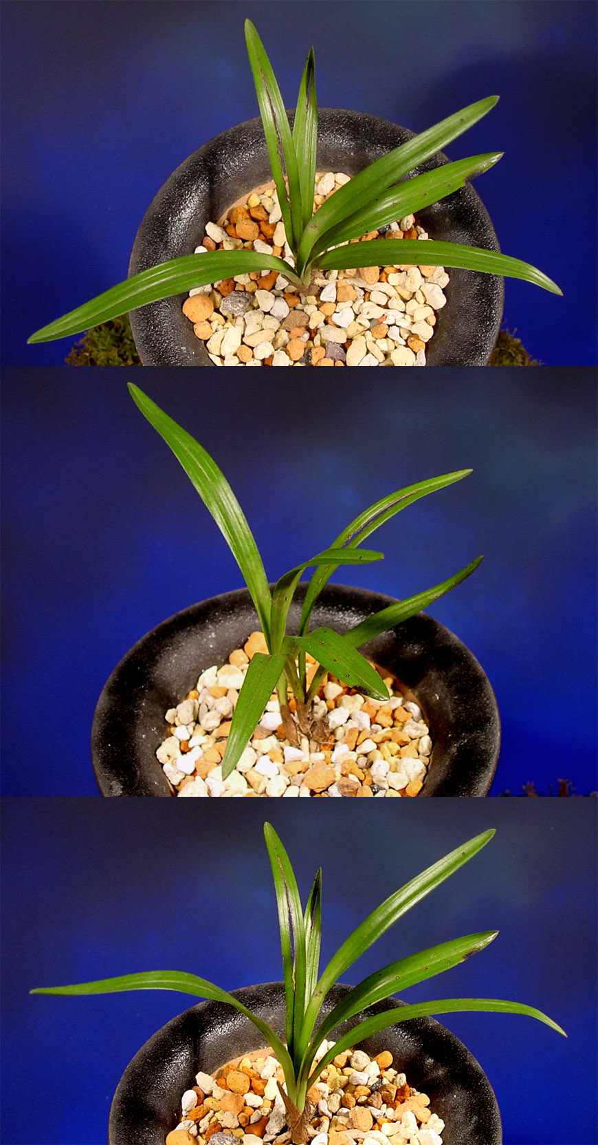 ������ ū������ �� �� �ֽ��ϴ�.