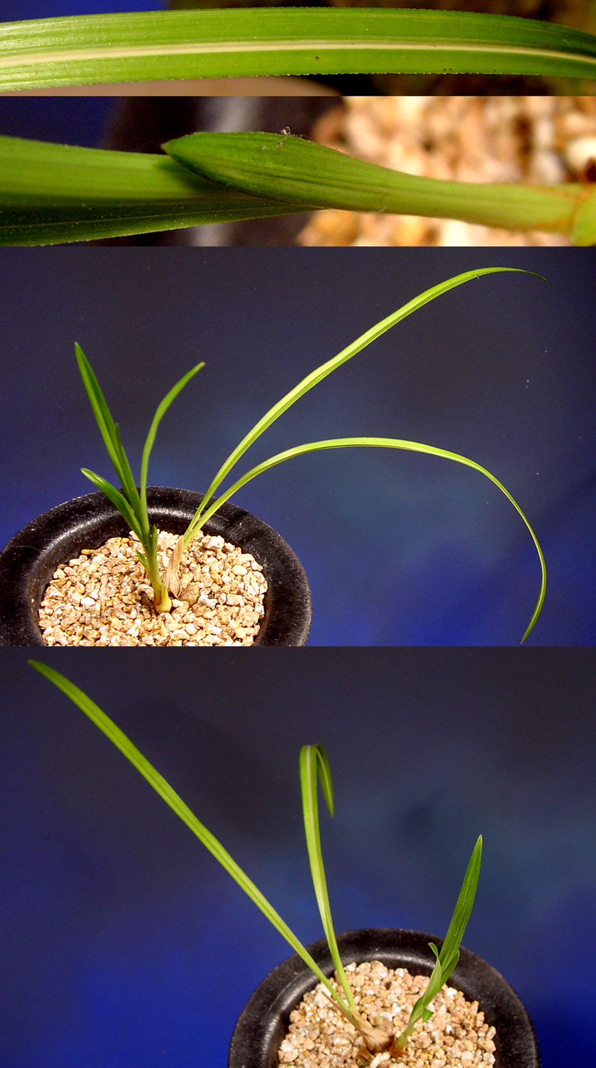 ������ ū������ �� �� �ֽ��ϴ�.