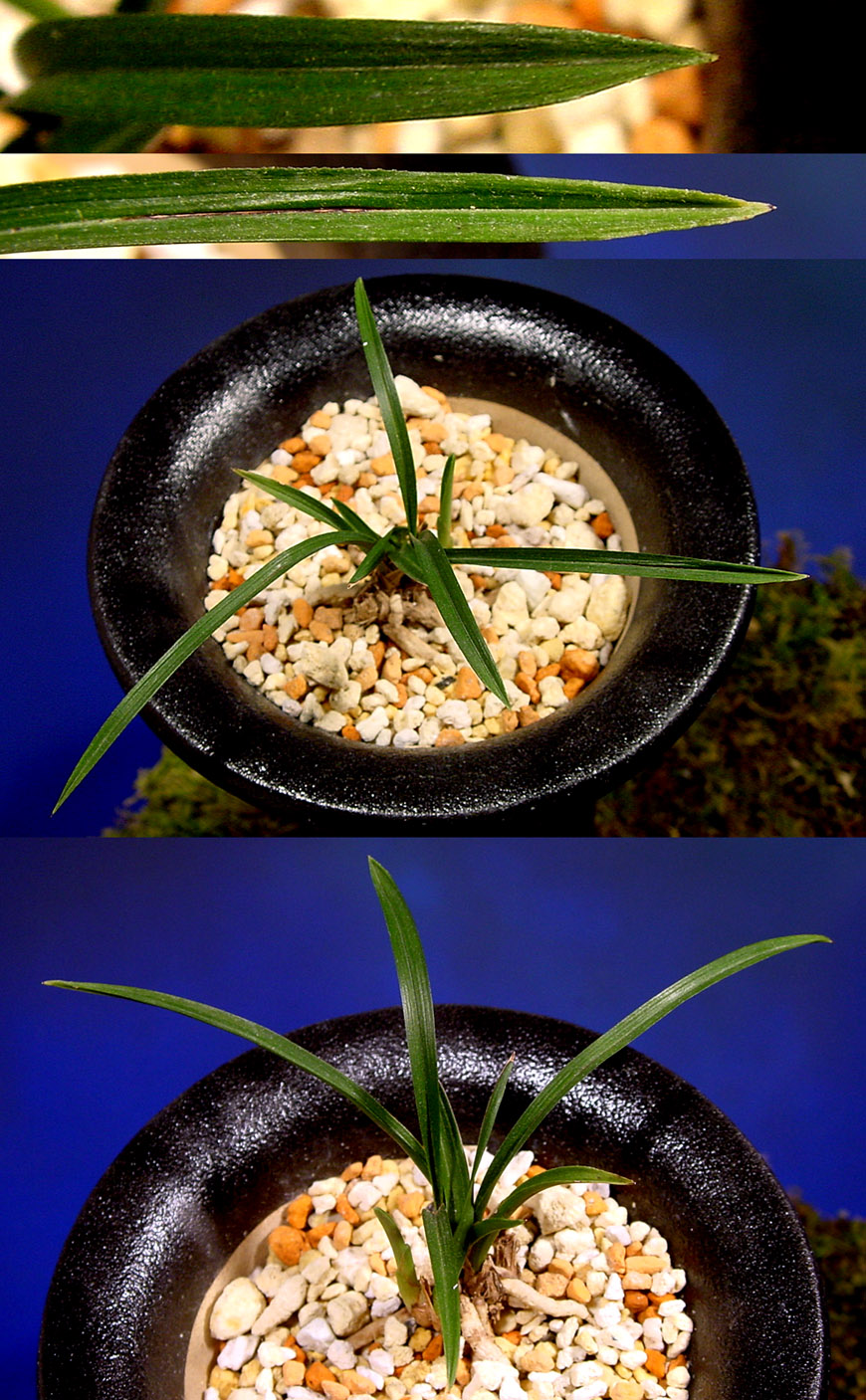 ������ ū������ �� �� �ֽ��ϴ�.