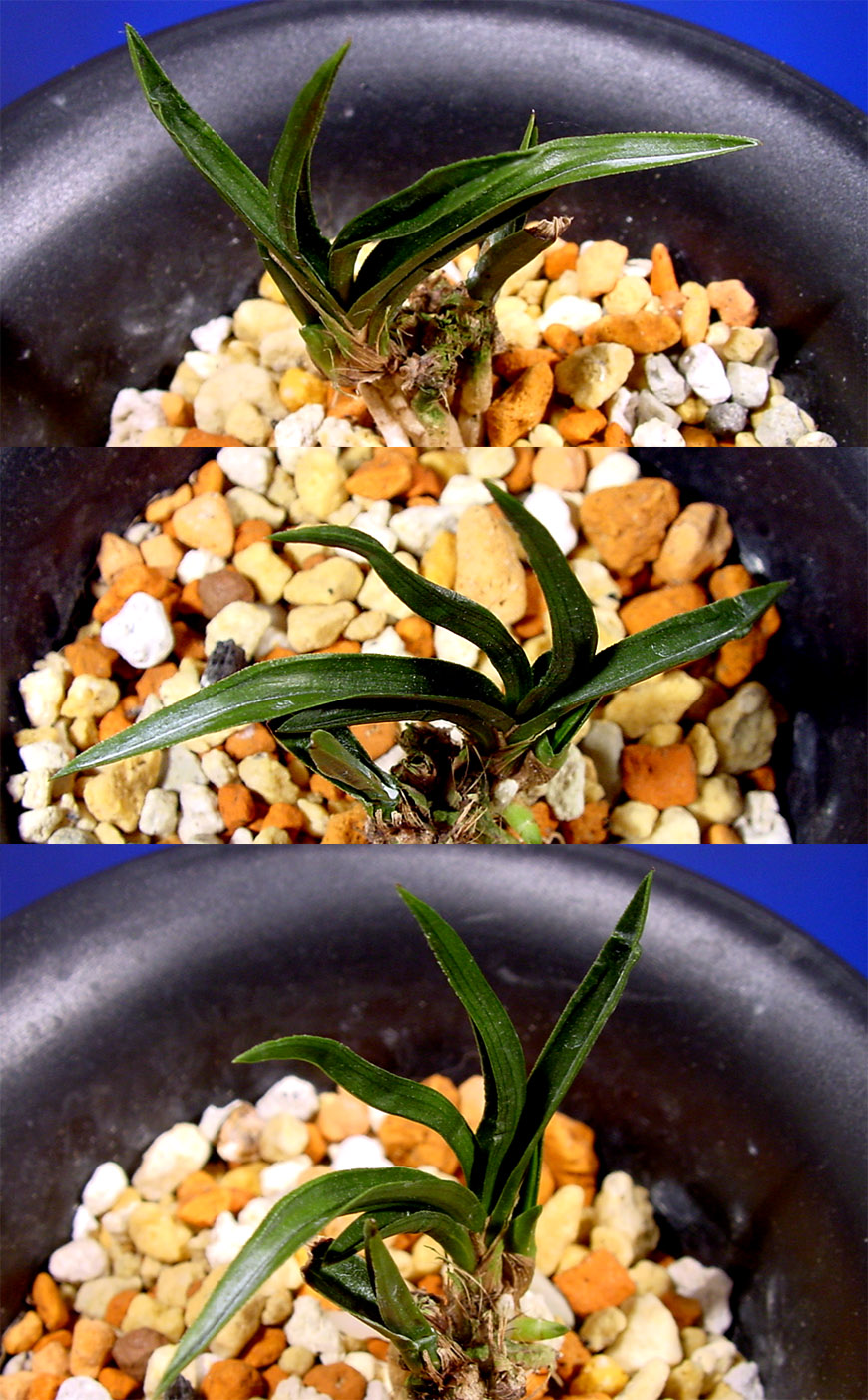 ������ ū������ �� �� �ֽ��ϴ�.