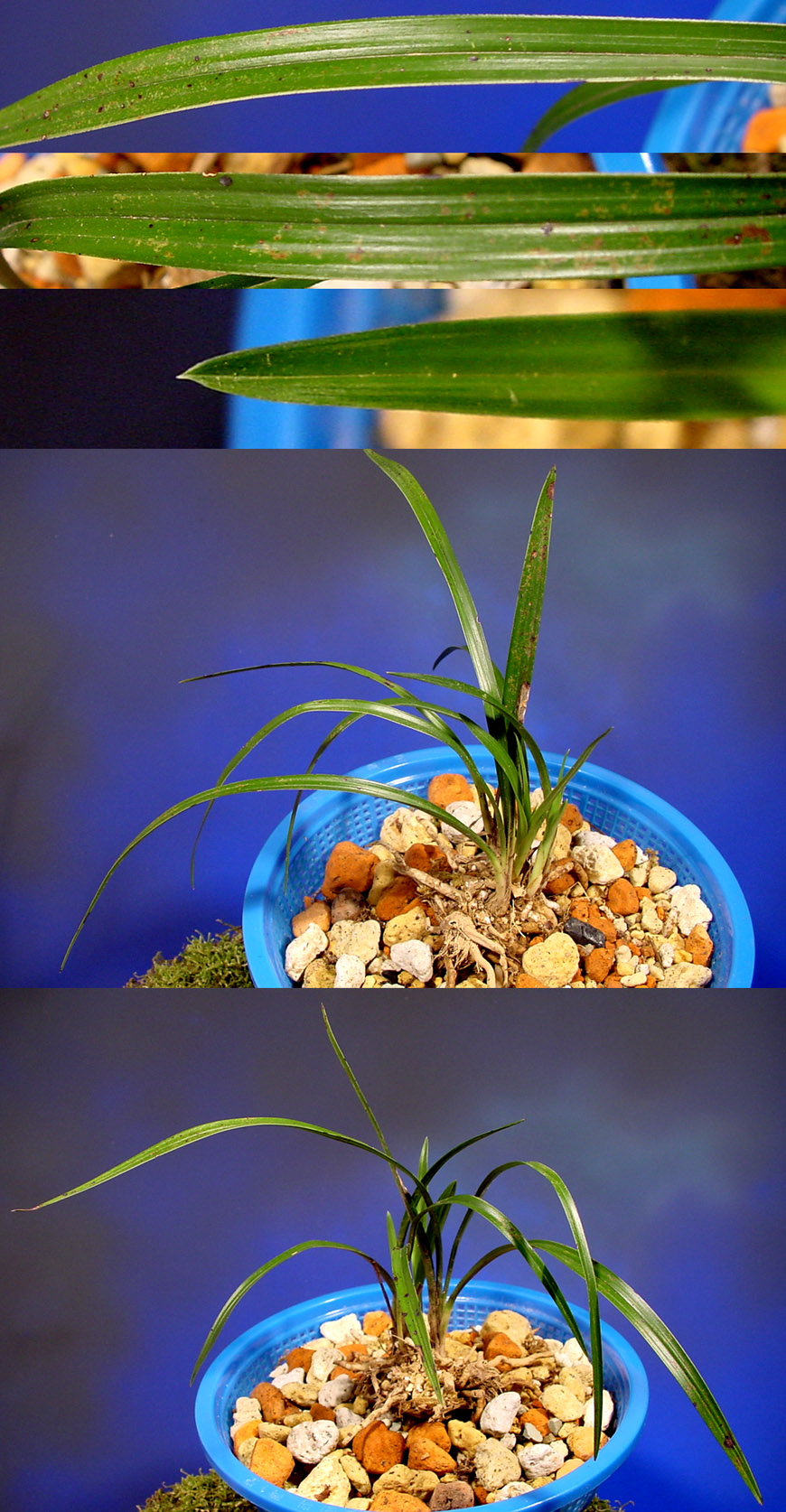 ������ ū������ �� �� �ֽ��ϴ�.