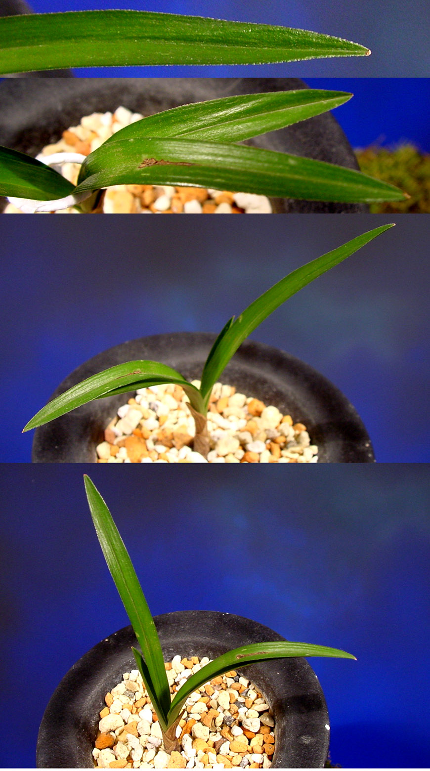 ������ ū������ �� �� �ֽ��ϴ�.