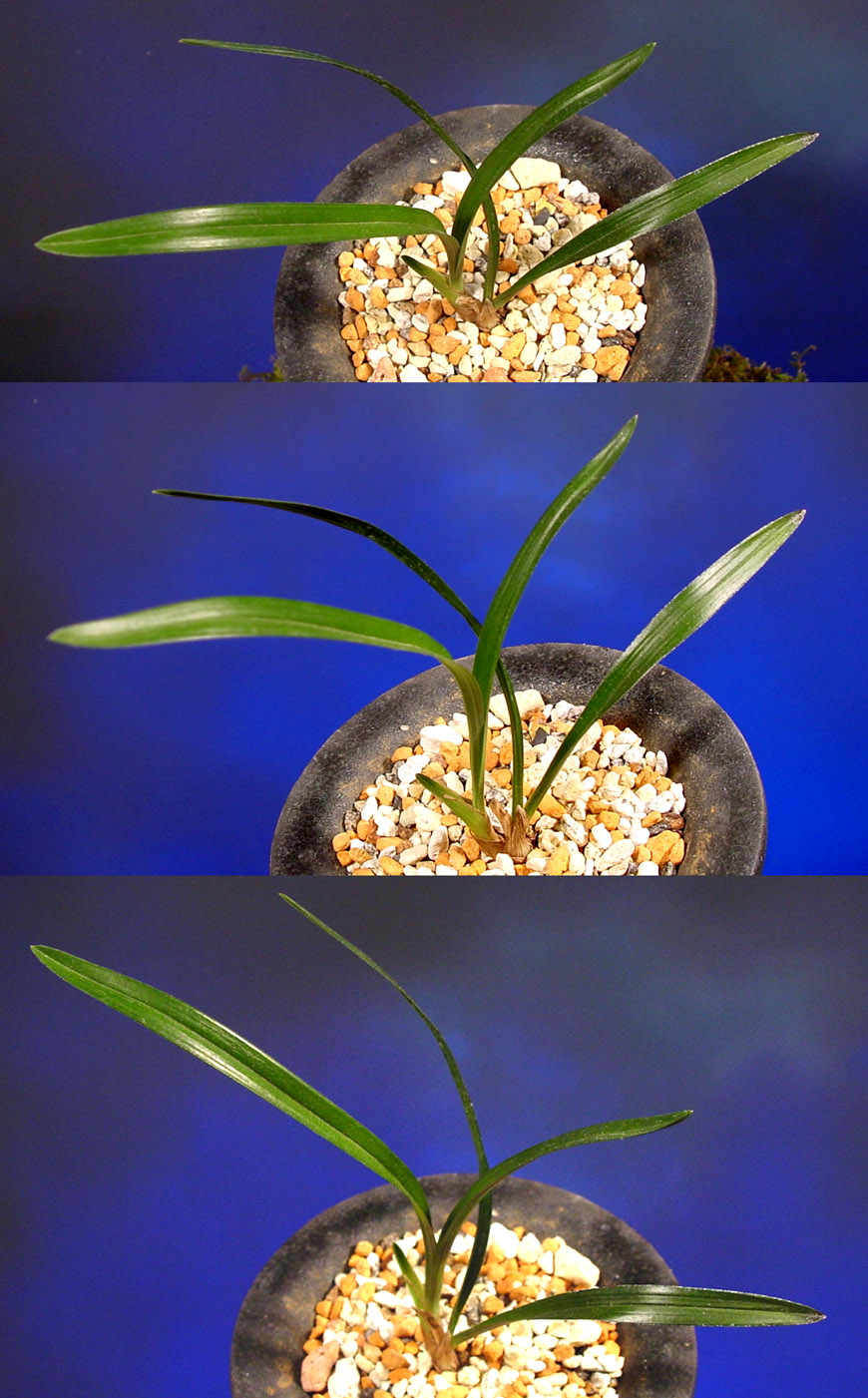 ������ ū������ �� �� �ֽ��ϴ�.