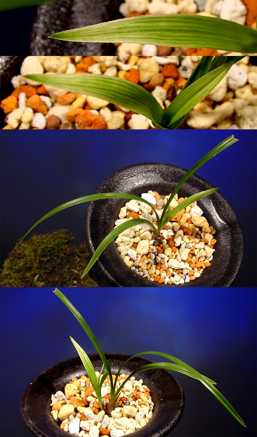 ������ ū������ �� �� �ֽ��ϴ�.