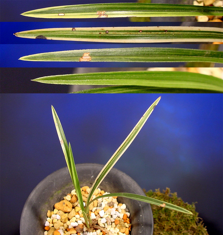 ������ ū������ �� �� �ֽ��ϴ�.