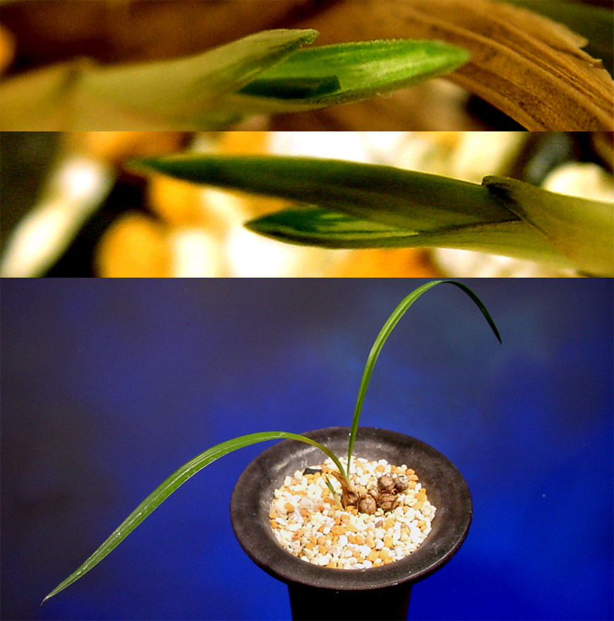 ������ ū������ �� �� �ֽ��ϴ�.