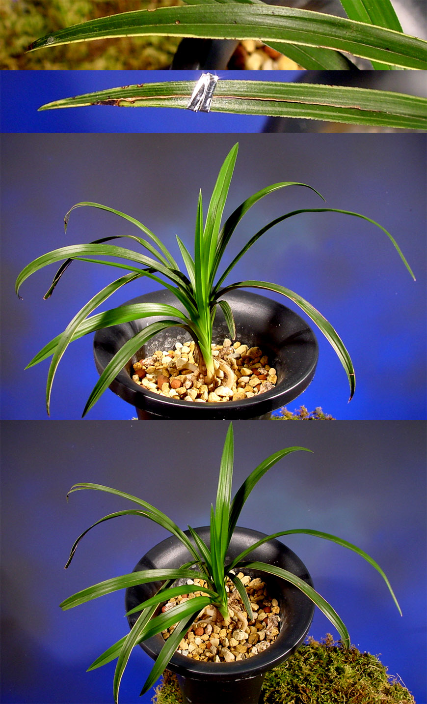 ������ ū������ �� �� �ֽ��ϴ�.