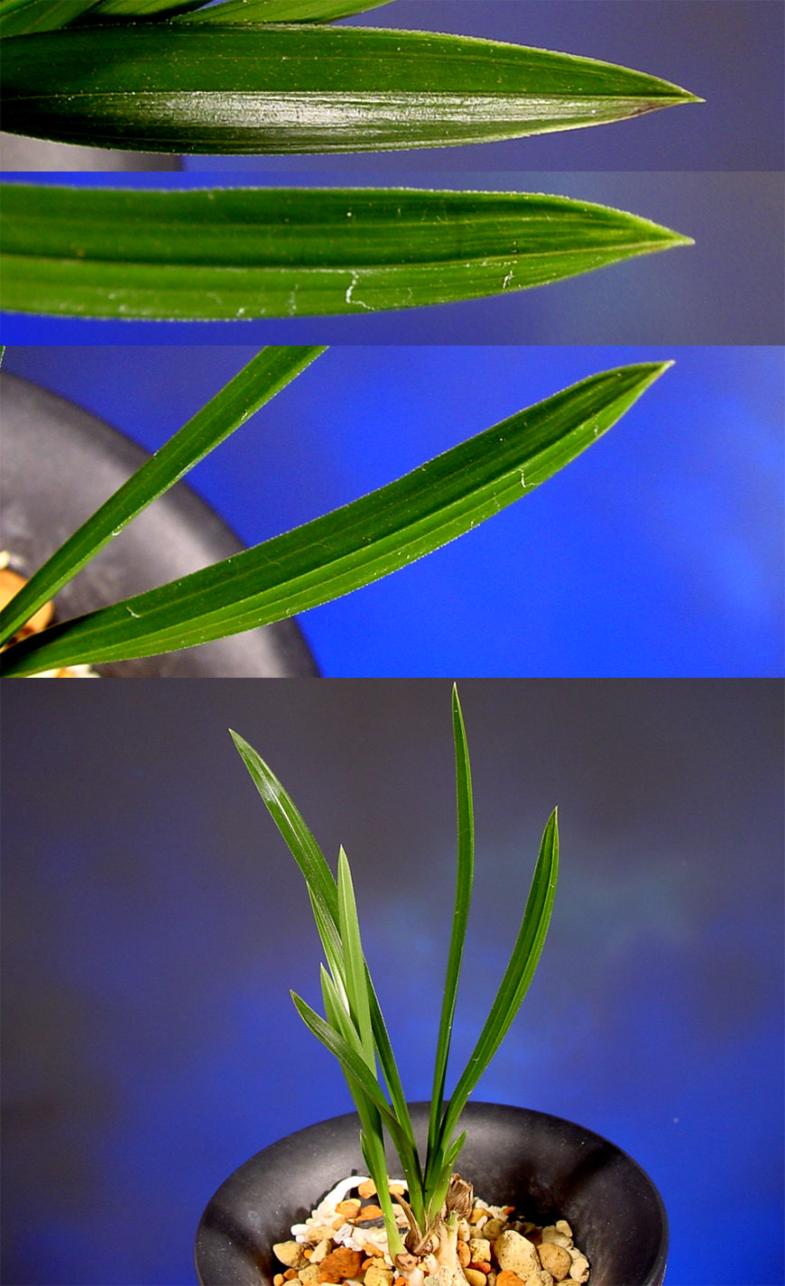 ������ ū������ �� �� �ֽ��ϴ�.