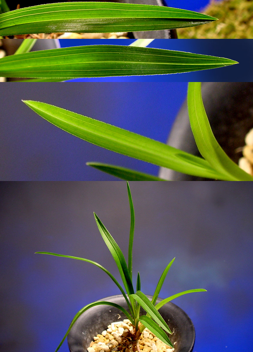 ������ ū������ �� �� �ֽ��ϴ�.