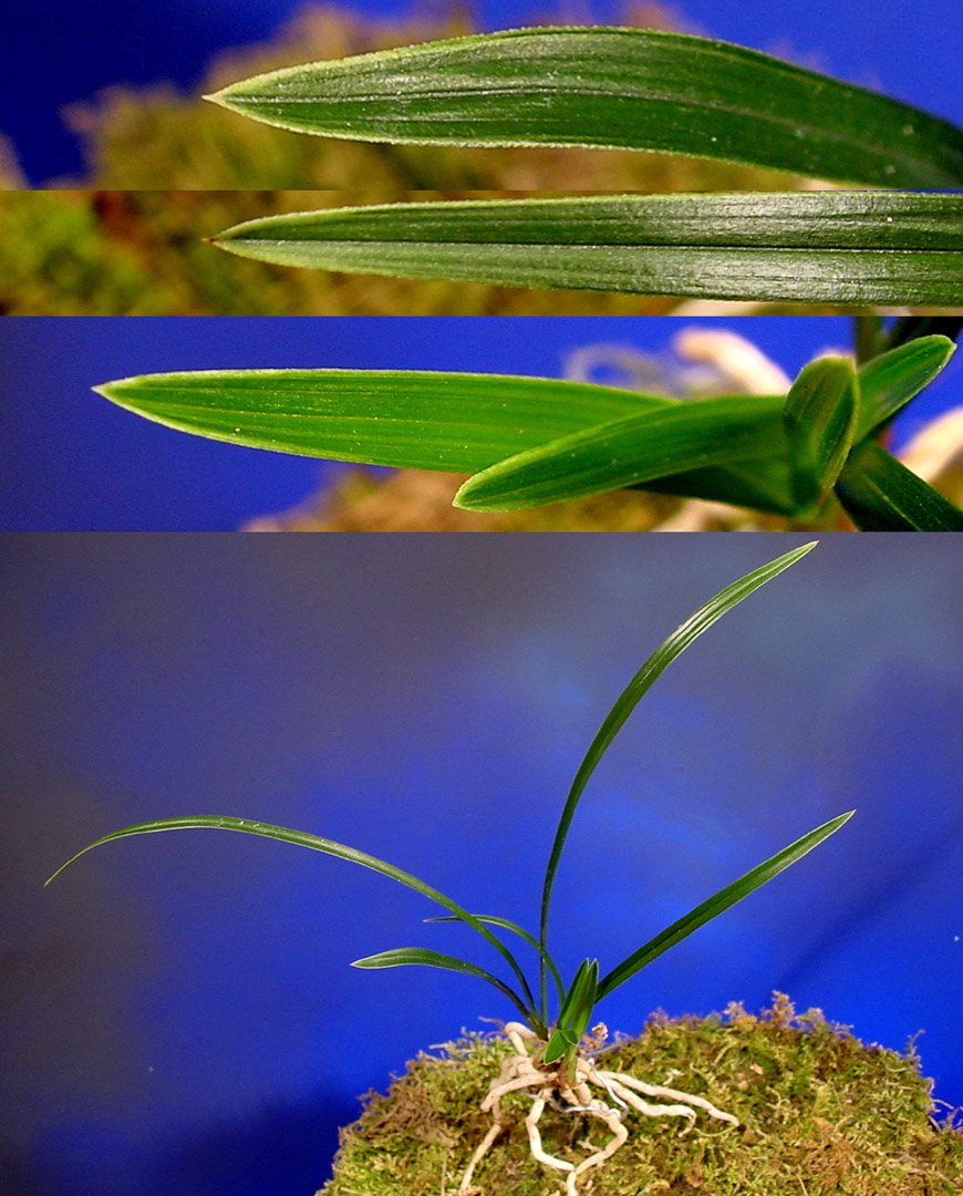 ������ ū������ �� �� �ֽ��ϴ�.