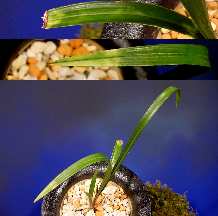 ������ ū������ �� �� �ֽ��ϴ�.